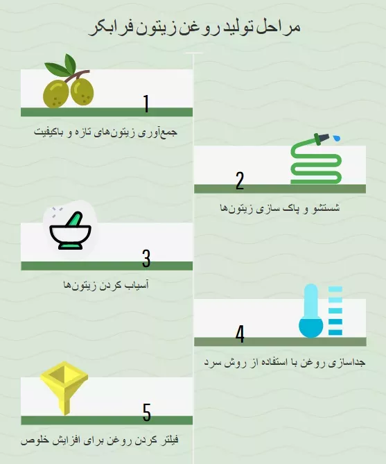 مراحل تولید روغن زیتون فرابکر