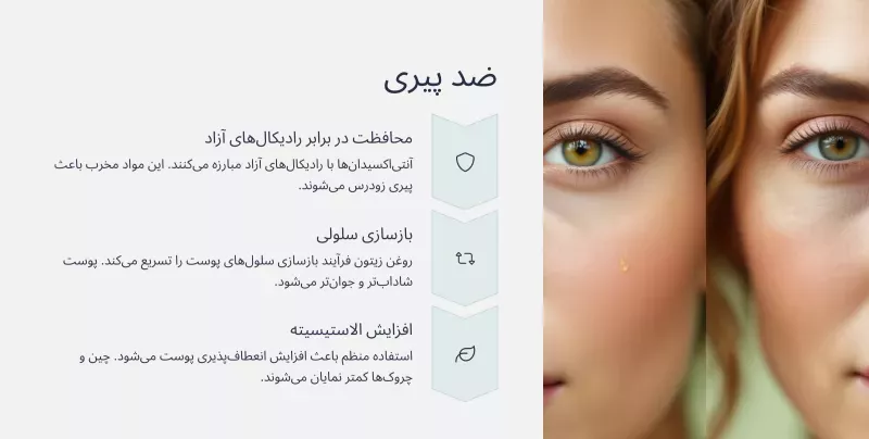 خاصیت ضدپیری روغن زیتون